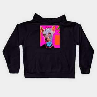 Dogsame Kids Hoodie